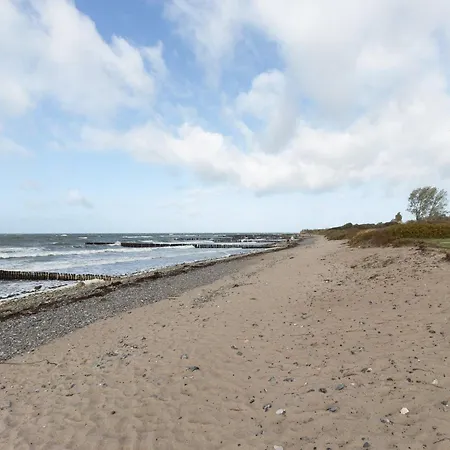 Kranich -